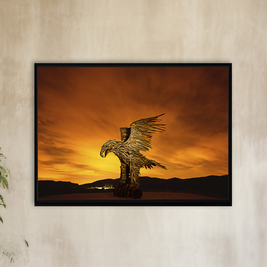 L’Aquila di Vaia a Marcesina – Opera in Touchstone